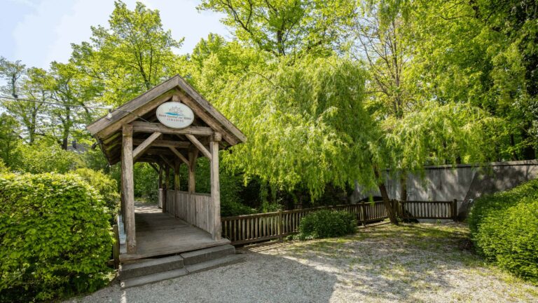 Brücke über Bach